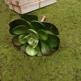 Artificial Succulent (Type 14)